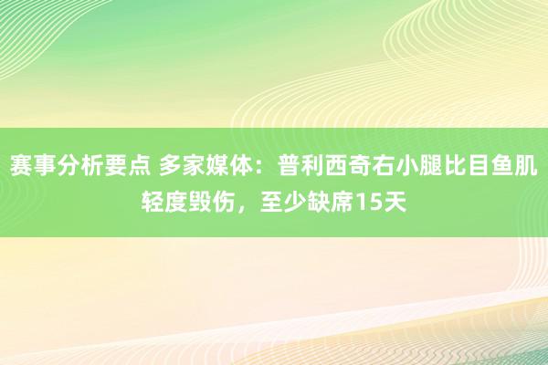 赛事分析要点 多家媒体：普利西奇右小腿比目鱼肌轻度毁伤，至少缺席15天