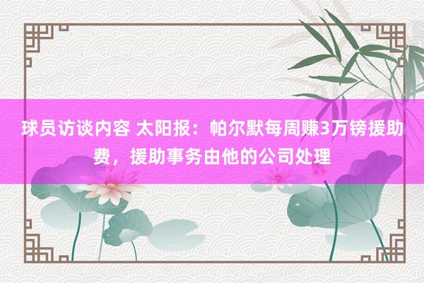 球员访谈内容 太阳报：帕尔默每周赚3万镑援助费，援助事务由他的公司处理